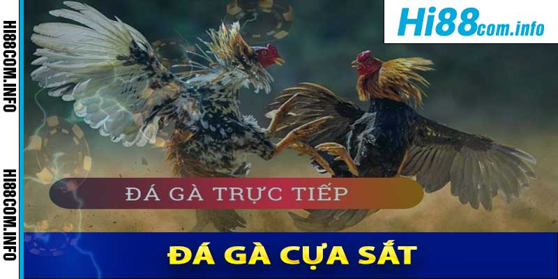 Đá Gà Cựa Sắt