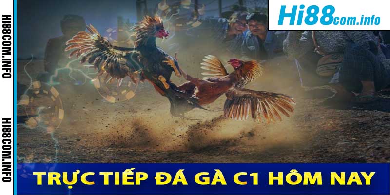 Trực Tiếp Đá Gà C1 Hôm Nay